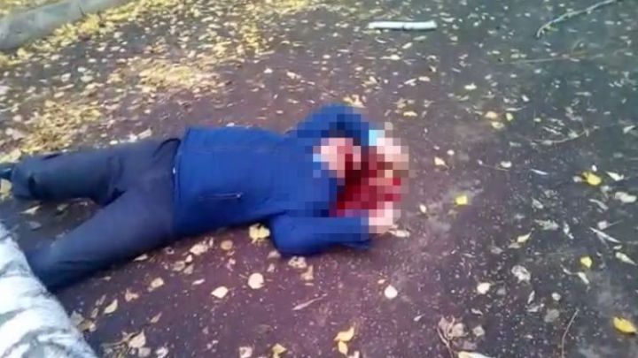 Появилось видео, где береза в Татарстане насмерть придавила мужчину