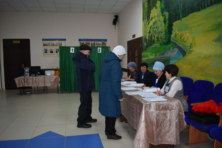 По состоянию на 12 часов дня в Пестречинском районе проголосовали 27 процентов избирателей&nbsp;