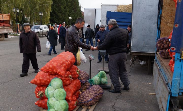 Пестречинские аграрии представят свою продукцию на ярмарке в Казани