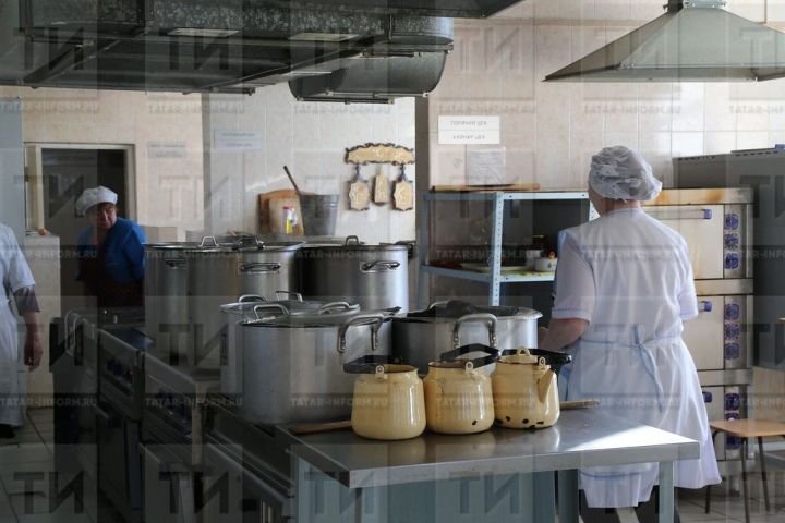 Татарстанские родители пожаловались на холодную и невкусную еду в образовательных организациях