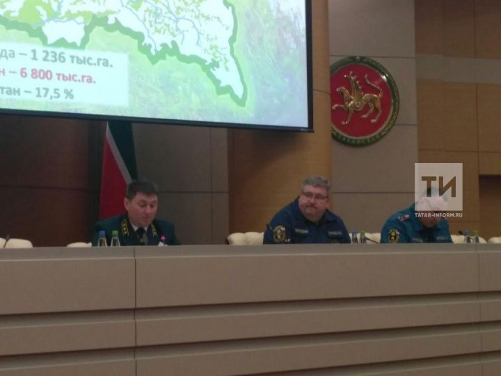 С 30 апреля в Татарстане введут особый противопожарный режим