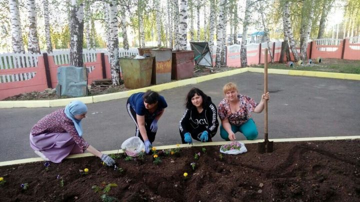 В “Каенкай” озеленили территорию