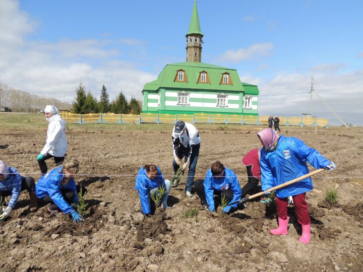 В Салкын Чишме появилась «Аллея Героев»