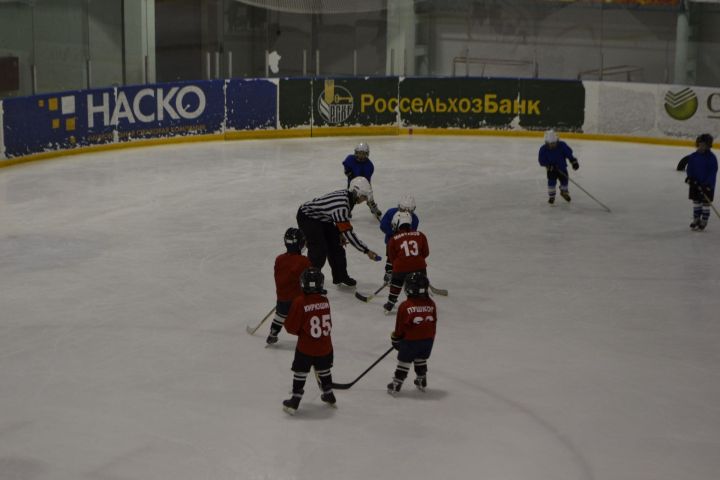 Маленькие хоккеисты района завершили сезон игрой