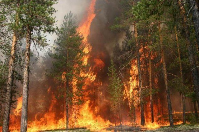 Штормовое предупреждение о сохранении высокой пожарной опасности лесов на территории Республики Татарстан