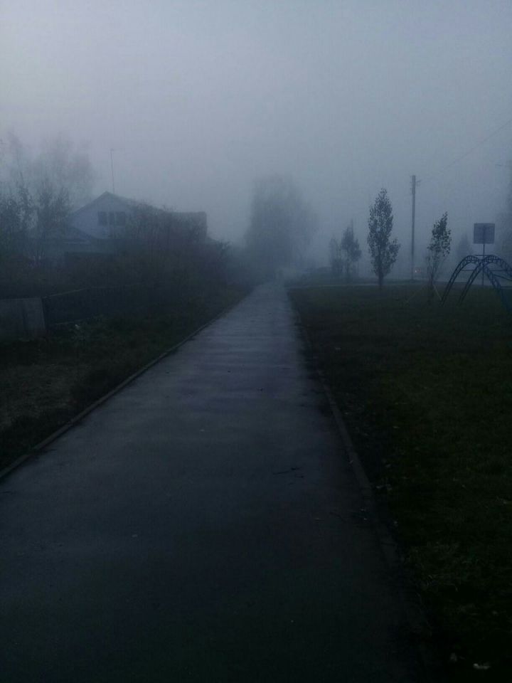 Синоптики Татарстана предупредили о грозе и тумане
