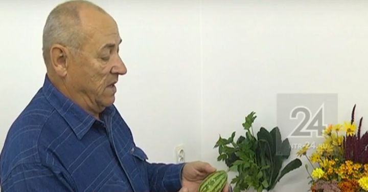 Огурдыня и морковь «Шоколадный заяц»: пенсионер вырастил экзотику в Татарстане