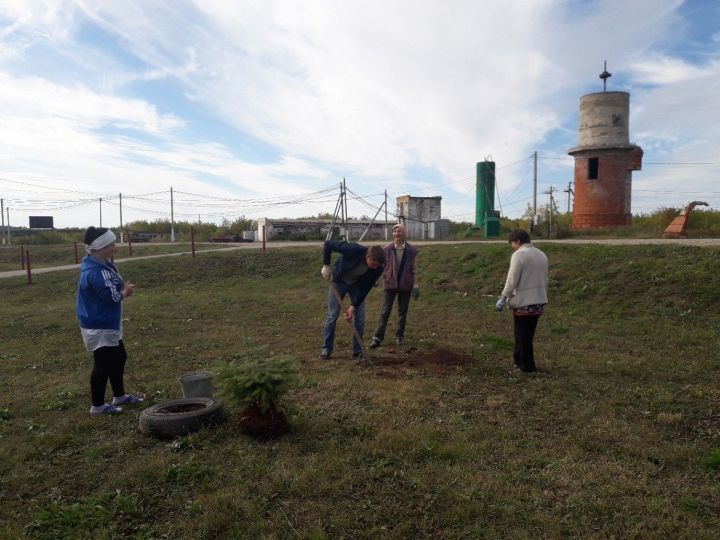 В селе Пановка Пестречинского района прошла акция “Зеленая Россия”