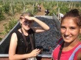 Студенты из Татарстана отправились на уборку винограда в Крым