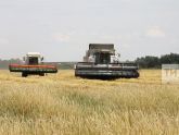 В Татарстане убрано 90 процентов площадей зерновых и зернобобовых культур