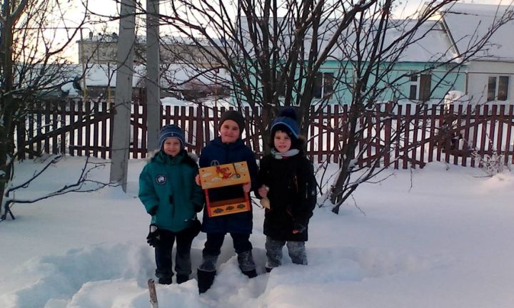 Пестречинцы помогают птицам пережить холода