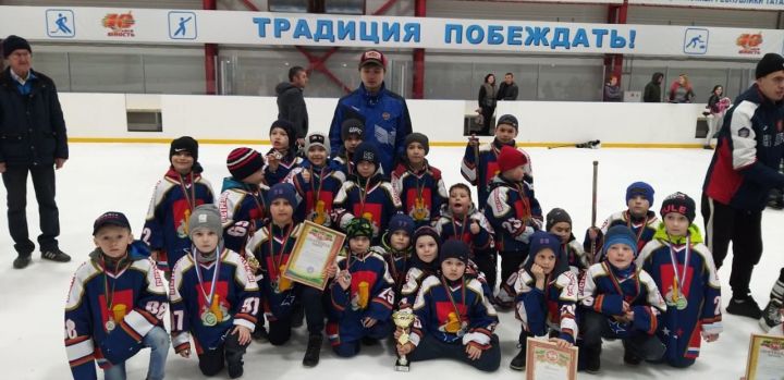 Маленькие хоккеисты завоевали серебряные медали