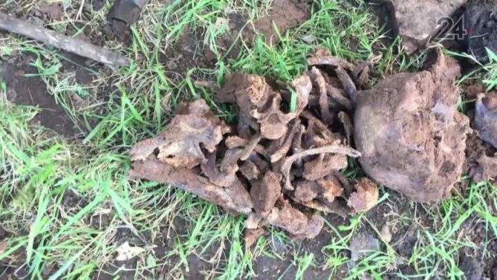 В Татарстане проезжавшие по полю трактористы обнаружили человеческий череп