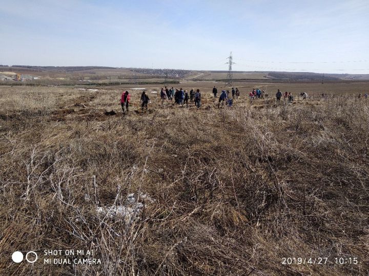 В Пестречинском районе более полумиллиона человек взялись за лопаты и лейки