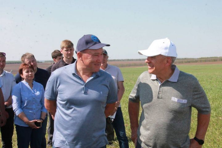 Рустам Минниханов назвал главное преимущество фермеров Пестречинского района