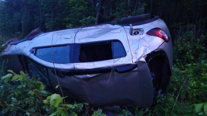 В Татарстане автомобиль переехал лося и вылетел в кювет