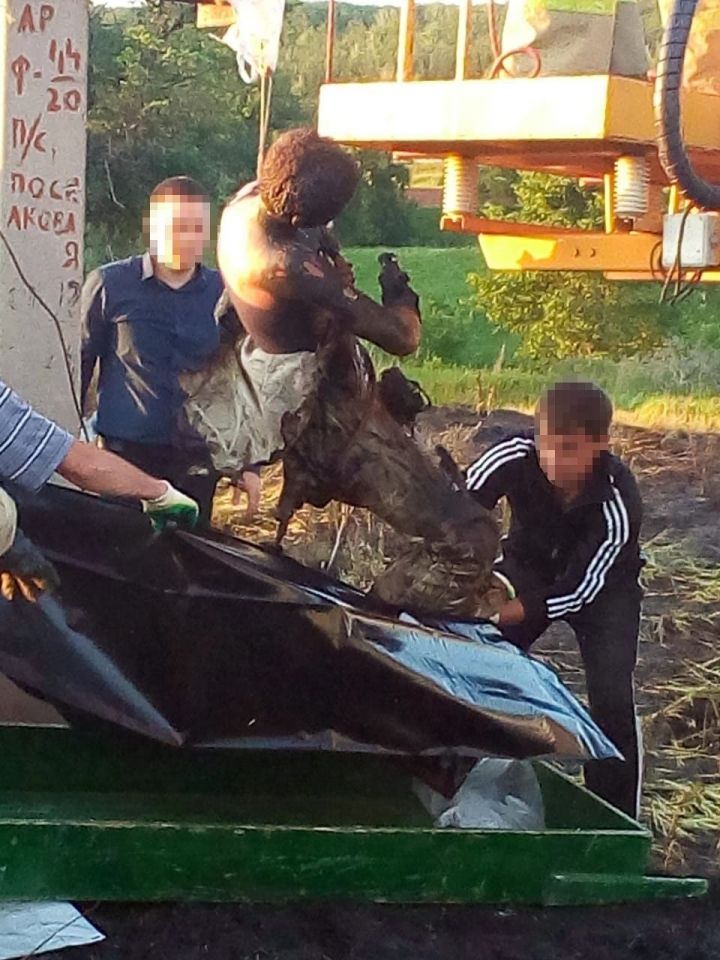 В Татарстане мужчину убило током при попытке срезать провода линии электропередач