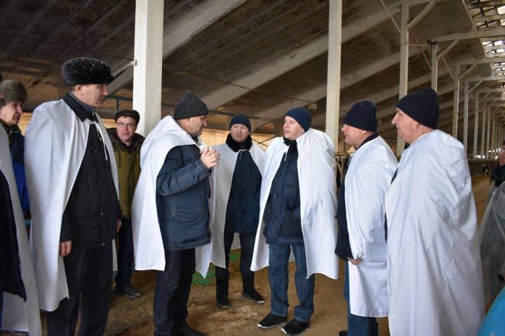 Начинающие фермеры могут получить поддержку до 5 миллионов рублей
