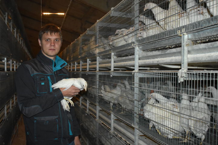 Антон Воронин: «В планах - довести поголовье птиц до 300 тысяч»