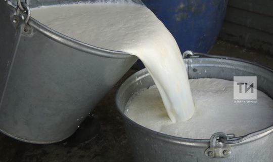 В Пестречинском районе построят завод по переработке молока