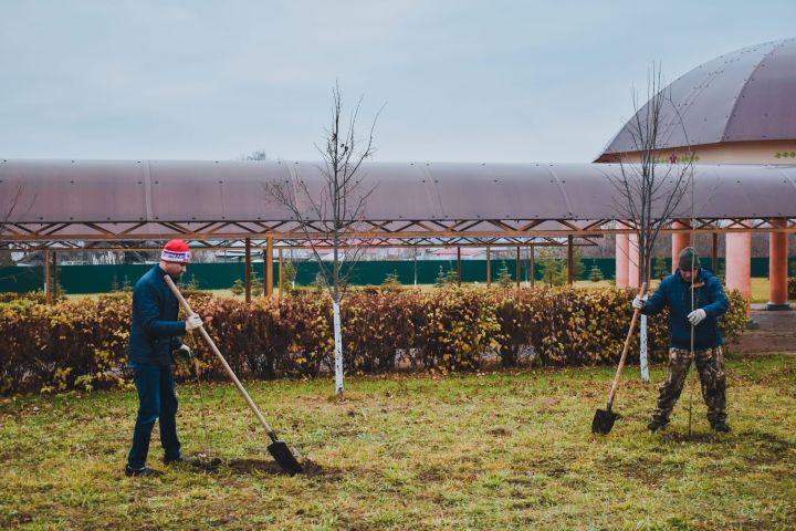 В Пестрецах прошла посадка деревьев к 100-летию ТАССР
