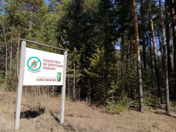 В Татарстане появятся две новые лесопожарные станции