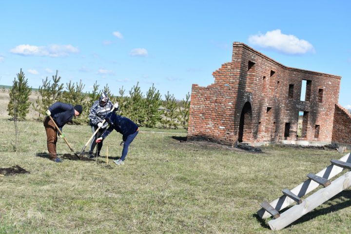 В деревне Альвидино возле фрагмента Брестской крепости будет цвести липа