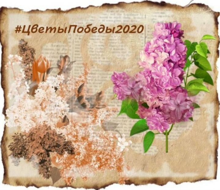 Пестречинцев приглашают принять участие в онлайн-фестивале "Цветы Победы"
