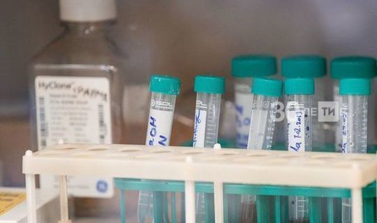 Три новых случая коронавируса обнаружили в Пестречинском районе