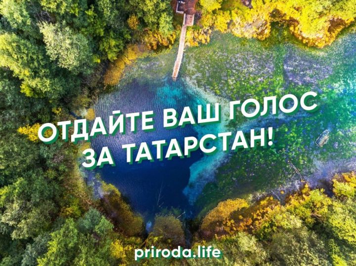 Рустам Минниханов призвал татарстанцев голосовать за республику в конкурсе экотуризма