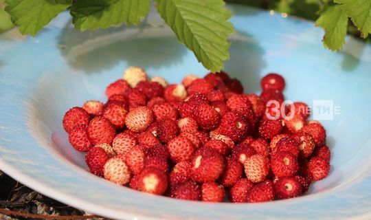 Три горсти ягод в неделю помогут сохранить здоровье