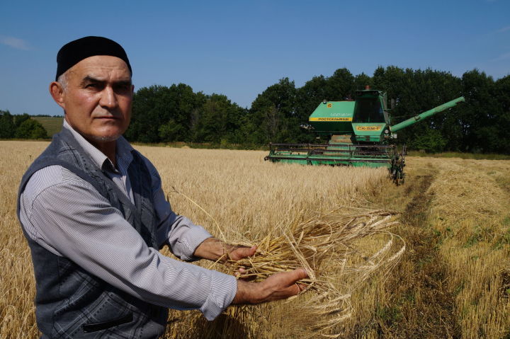 Агроном из села Чита: «Запах хлеба помню с детства»