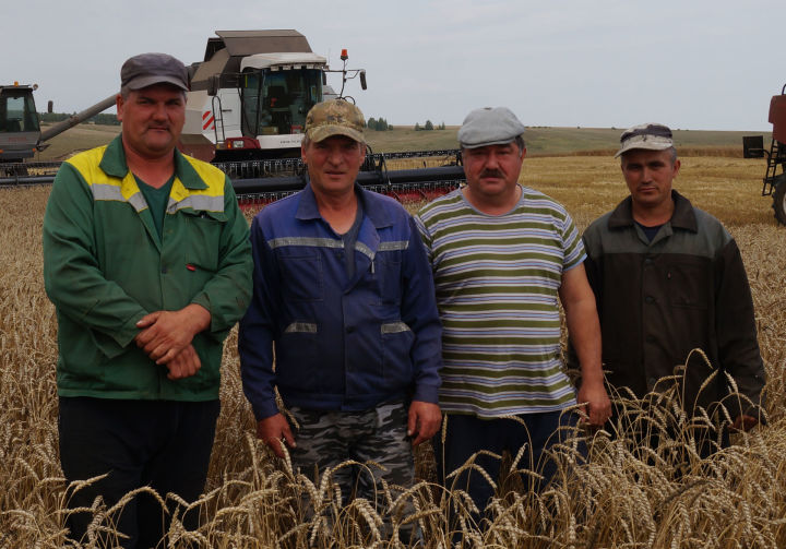 На 1 сентября уборка урожая в Пестречинском районе завершена на 78,75 процента