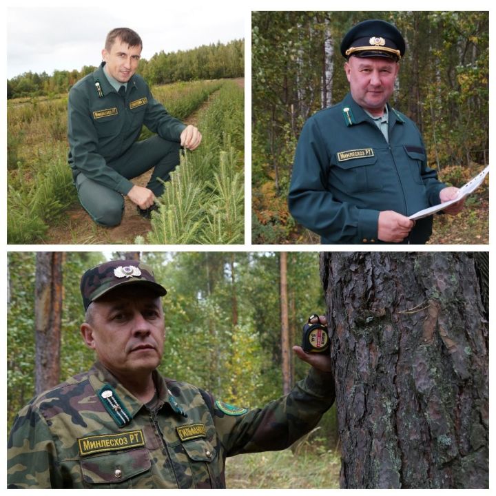Работники лесного хозяйства Пестречинского района рассказали о себе