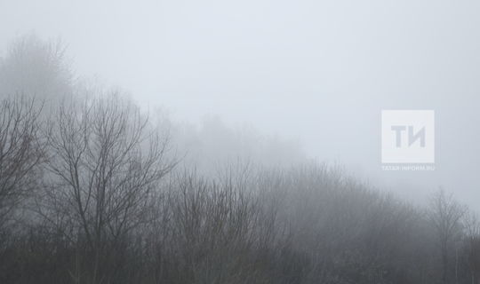Пестречинцев предупреждают о тумане, метелях и снежных заносах