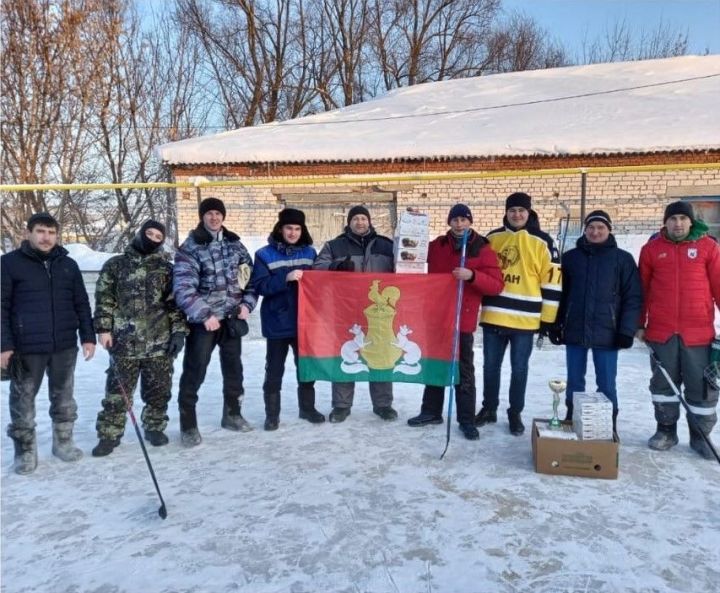 Молодежь Пестречинского района приняла участие в турнире по хоккею на валенках