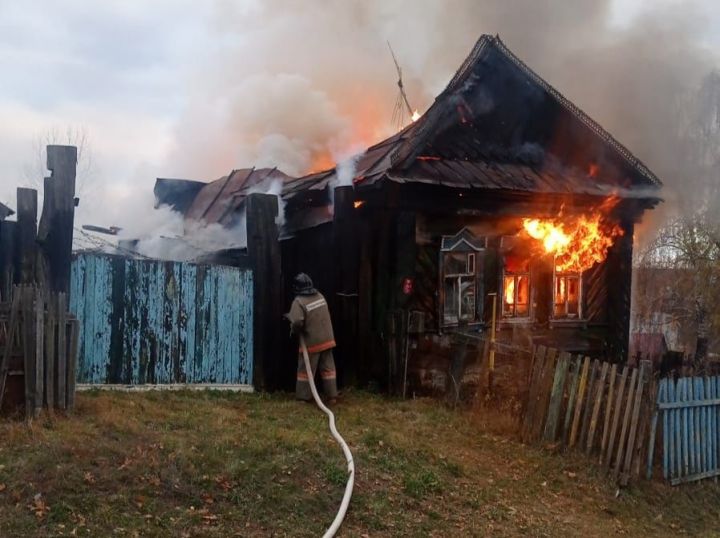 В селе Пановка на улице Первомайская несколько часов назад произошёл пожар