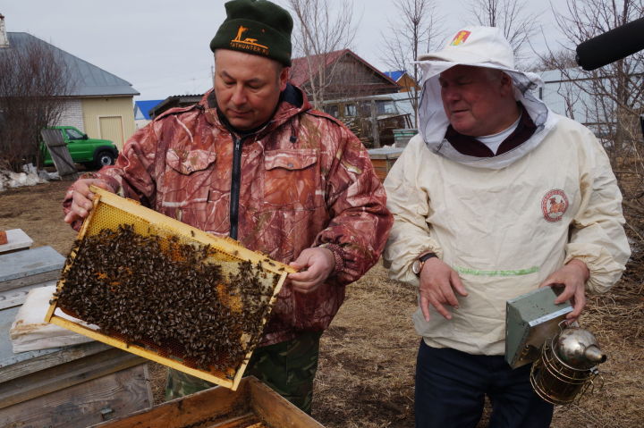 Пчеловоды Пестречинского района открывают сезон