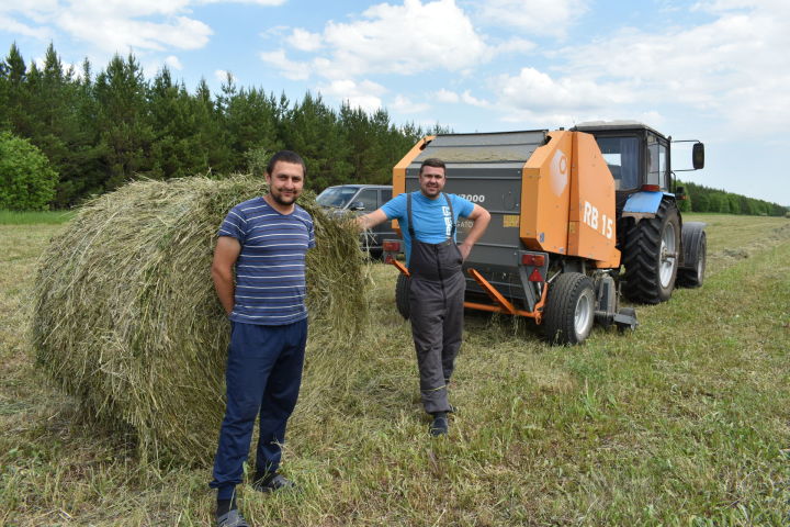 Некоторые хозяйства Пестречинского района уже заготавливают корма