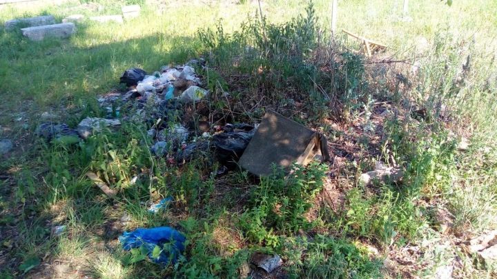 Питрәч районында шәхси йортлар территорияләрендә 14 хокук бозу очрагы ачыкланган