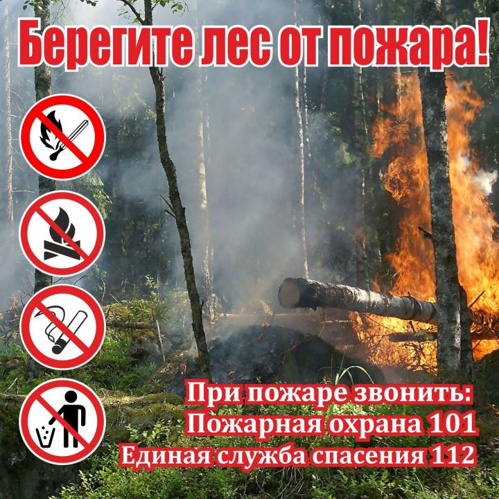 Татарстан продлил штормовое предупреждение из-за высокой вероятности лесных пожаров