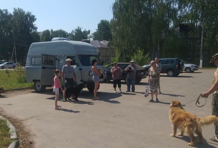 В Пестречинском районе продолжается бесплатная вакцинация домашних животных