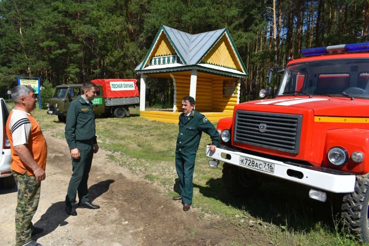В Пестречинском районе за лето не случилось ни одного лесного пожара