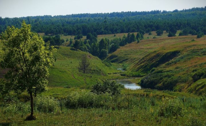 На этой неделе установившаяся в Татарстане аномальная жара спадет