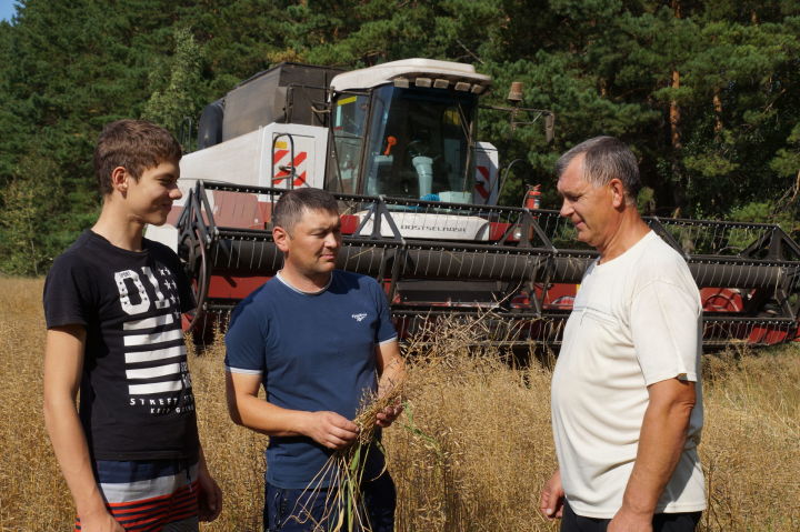 В хозяйстве «Ак барс-Пестрецы» убрали половину урожая