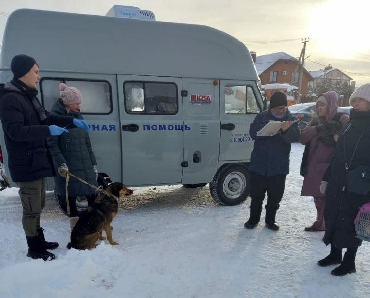 В Пестречинском районе продолжается бесплатная вакцинация собак и кошек от бешенства