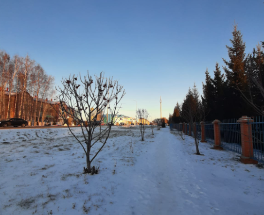 После морозов в Татарстане на время потеплеет до +1 градуса