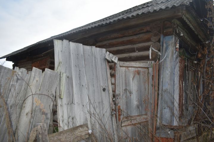 Здесь был Билан: предполагаемый дом в Пестрецах, куда приезжал певец