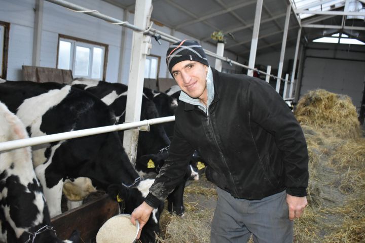 Пестречинский фермер выиграл грант и построил помещение для содержания коров
