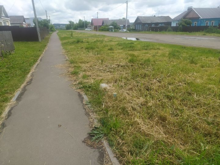 Мобильный репортёр: в Пестрецах не убирают скошенную траву возле тротуара